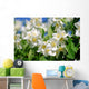 Jasmin - jasmine 35 Wall Mural