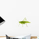 Katydid Wall Decal