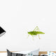 Katydid Wall Decal