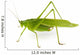 Katydid Wall Decal