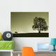 Lonely Horse and It's Wall Decal