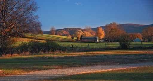 Farm Dusky Wall Decal