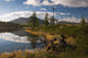 Trees Shore Mountain Lake