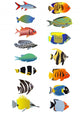 15 Different Fish Wall Decal