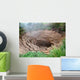 Valley Geysers 1 Wall Decal