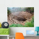 Valley Geysers 1 Wall Decal