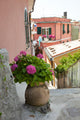 Town Vernazza