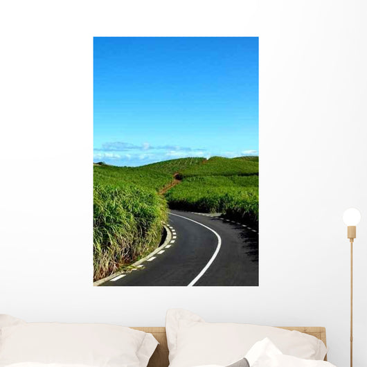 Fields Kanasuk Bay Cap Wall Decal