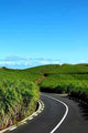 Fields Kanasuk Bay Cap Wall Decal