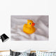 Badeente Wall Mural