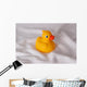 Badeente Wall Mural