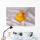 Badeente Wall Mural
