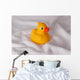 Badeente Wall Mural