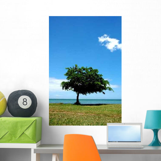 Bay Cape Solitude Wall Decal