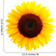 Sunflower Wall Decal