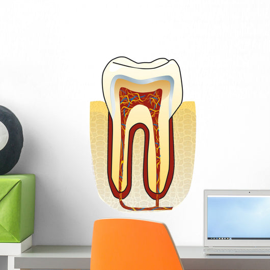 dente Wall Decal