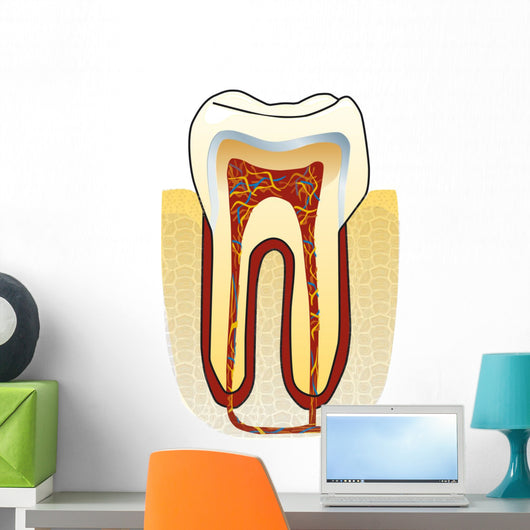 dente Wall Decal