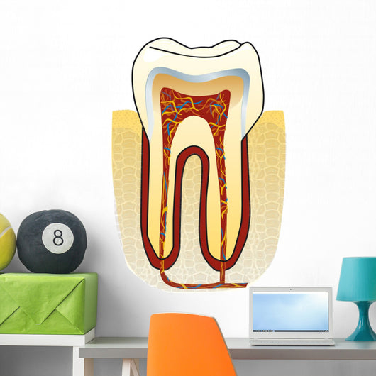 dente Wall Decal