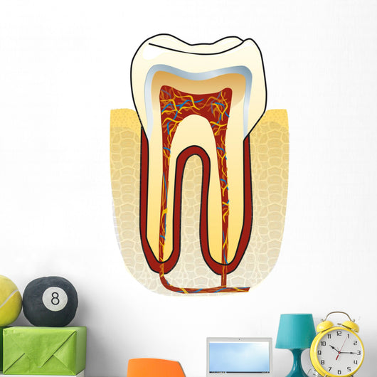 dente Wall Decal