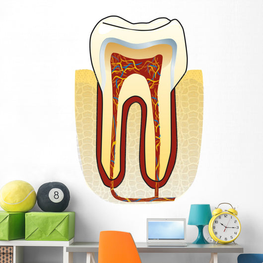 dente Wall Decal