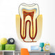 dente Wall Decal