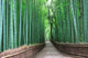 Bamboo Forest Wall Decal Design 4