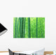 Bamboo forest Wall Mural