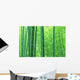 Bamboo forest Wall Mural