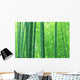 Bamboo forest Wall Mural