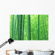 Bamboo forest Wall Mural