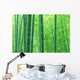 Bamboo forest Wall Mural