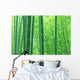 Bamboo forest Wall Mural
