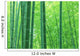 Bamboo forest Wall Mural