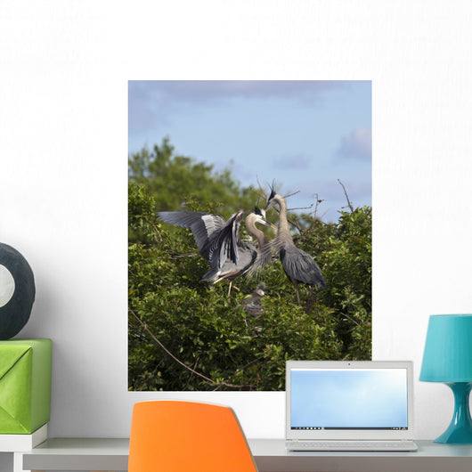 Great Blue Heron Early Wall Mural