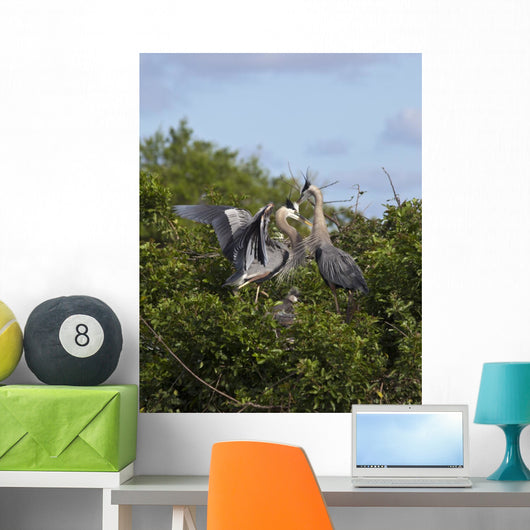 Great Blue Heron Early Wall Mural