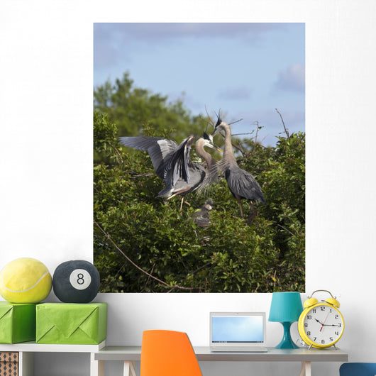 Great Blue Heron Early Wall Mural