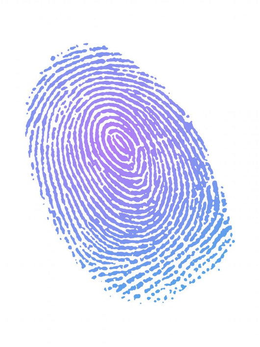 Fingerprint in gradient color Wall Decal