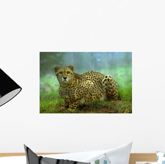 Cheetah Wall Mural