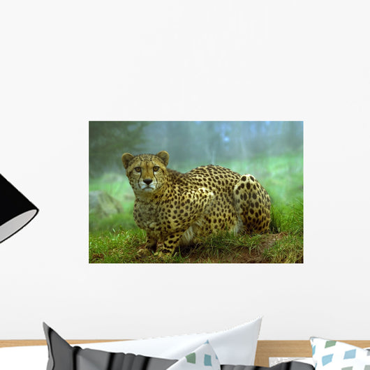 Cheetah Wall Mural