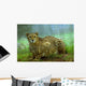 Cheetah Wall Mural