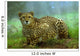 Cheetah Wall Mural