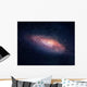 Distant Galaxy Wall Decal