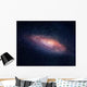 Distant Galaxy Wall Decal