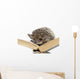 Hedgehog on Book Wall Decal