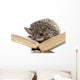 Hedgehog on Book Wall Decal
