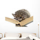 Hedgehog on Book Wall Decal
