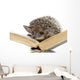 Hedgehog on Book Wall Decal