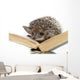 Hedgehog on Book Wall Decal