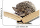 Hedgehog on Book Wall Decal