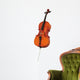 Cello Wall Decal
